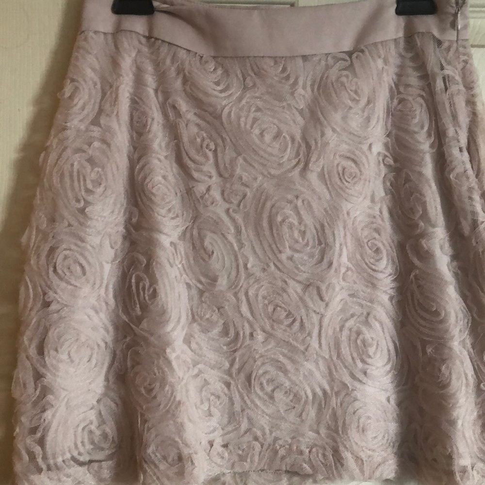 Francesca’s Annabelle Skirt